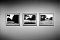 Michelangelo Antonioni, c/o Berlin, Blow up, analog, s/w, schwarz-weiss, b/w, black and white, Contax T3