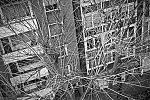 branches, Brunnenstrasse, Äste, Baum, tree, city, Düsseldorf, Corona, Covid 19, analogfotografie, Leica minilux, Kodak Tmax 400, point and shoot, analogphotography