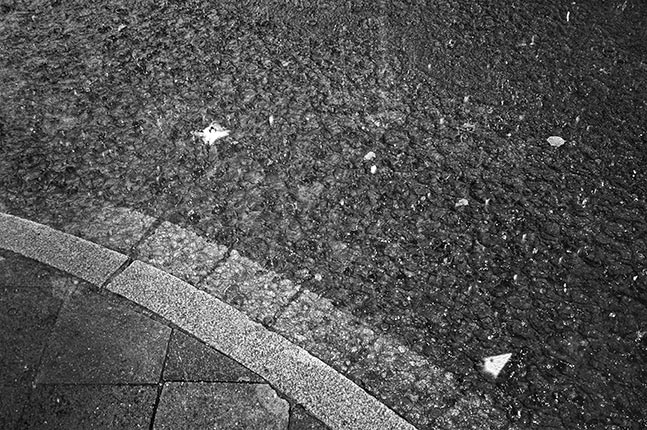 Regen, rain, analog, schwarz weiss, s/w, black and white, b/w