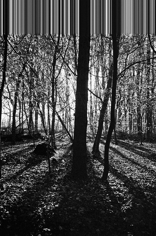 Scanfehler, Flensburg, analog, s/w, schwarz-weiss, b/w, black and white, Contax T3