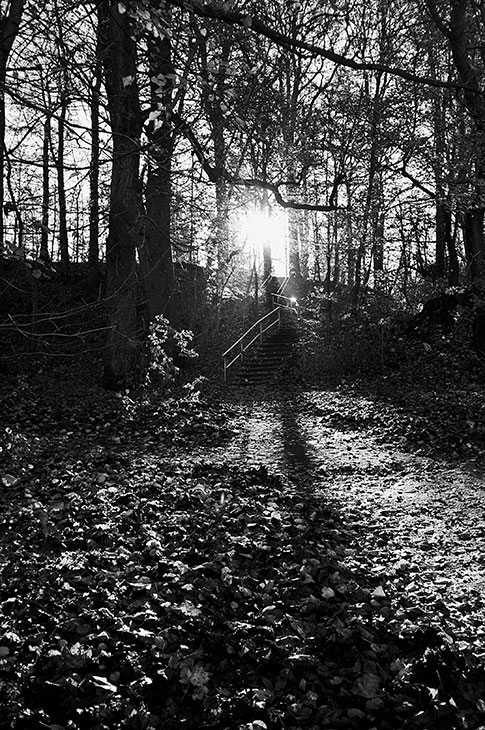 analog, s/w, schwarz-weiss, b/w, black and white, Contax T3