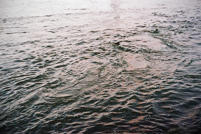 analog, Contax TVS, 4-c, Rhein
