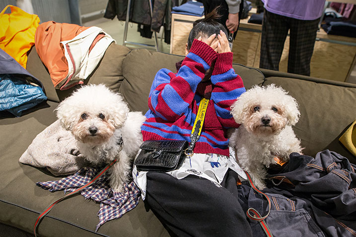 Motown, carhartt wip, carhartt store cologne, Motown x Carhartt, dogs, Dub Lab