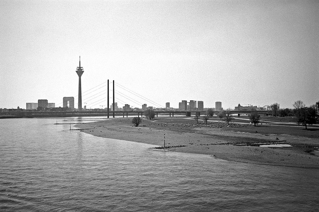 Rheinwiesen, Düsseldorf, Corona, Covid 19, analogfotografie, Leica minilux, Kodak Tmax 400, point and shoot, analogphotography, skyline, Rhein, rhine, river, rhine germany